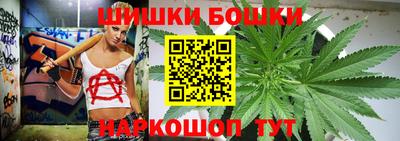 МДПВ Кингисепп