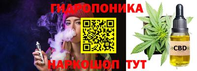 МДПВ Кингисепп