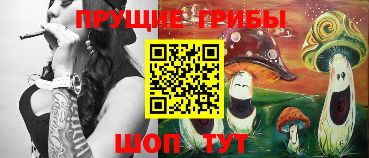 цена наркотик  Вход с VPN  Благовещенск  Галлюциногенные грибы GOLDEN TEACHER  Галлюциногенные грибы Psilocybe 